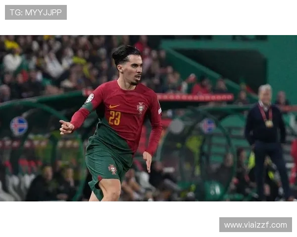 维蒂尼亚在葡萄牙国家队的战术角色：关键一环还是作用被高估？